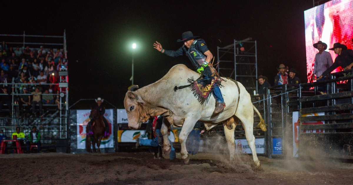 Rodeo Internacional de la Fexposiv 2025 (Foto: Fexposiv) 