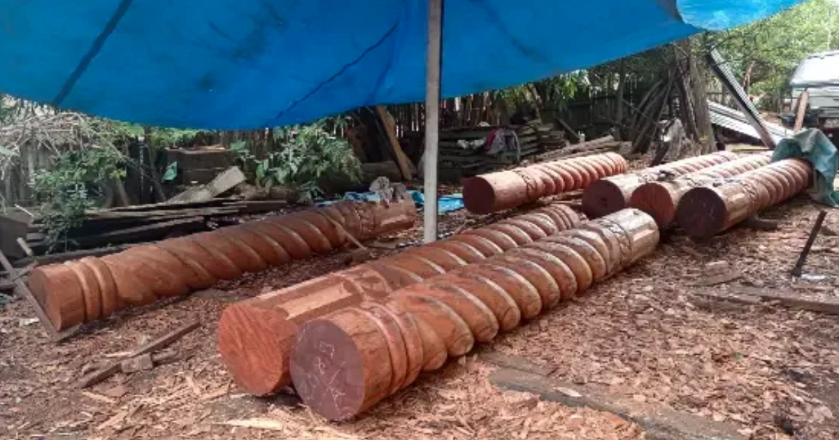 Horcones tallados por Fidel Casanova (Foto: NP)