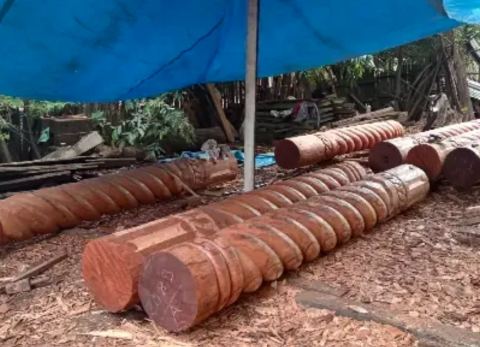 Horcones tallados por Fidel Casanova (Foto: NP)