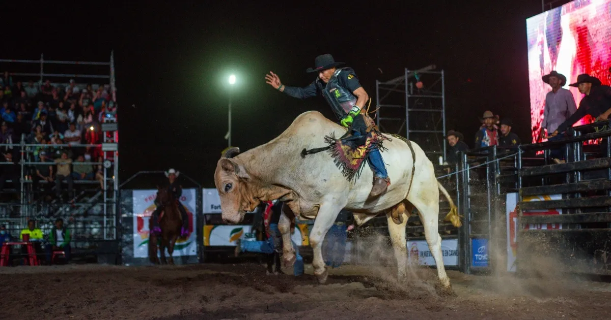 Rodeo Internacional de la Fexposiv 2025 (Foto: Fexposiv) 